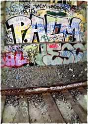 Graffiti along the Tracks
